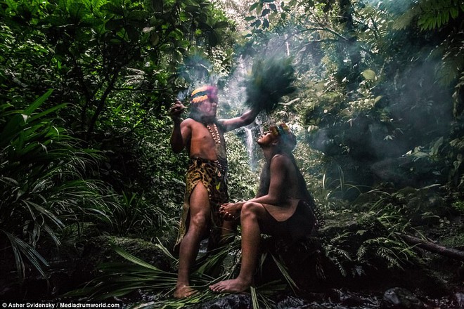 Hé lộ những bí ẩn của nghề pháp sư trong rừng rậm Amazon - Ảnh 5.