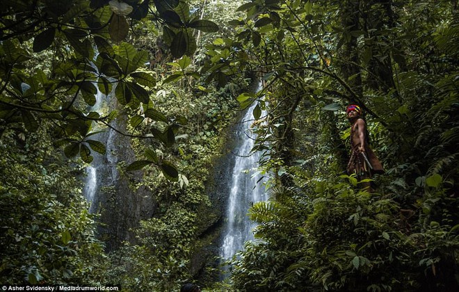 Hé lộ những bí ẩn của nghề pháp sư trong rừng rậm Amazon - Ảnh 12.