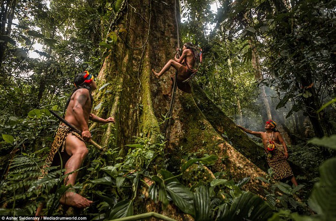 Hé lộ những bí ẩn của nghề pháp sư trong rừng rậm Amazon - Ảnh 15.