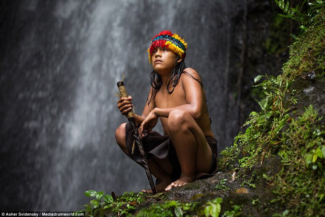 Hé lộ những bí ẩn của nghề pháp sư trong rừng rậm Amazon - Ảnh 11.