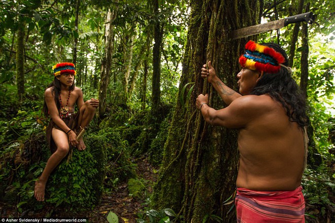 Hé lộ những bí ẩn của nghề pháp sư trong rừng rậm Amazon - Ảnh 10.