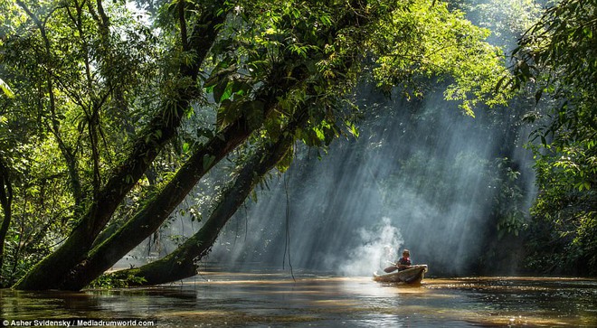 Hé lộ những bí ẩn của nghề pháp sư trong rừng rậm Amazon - Ảnh 6.