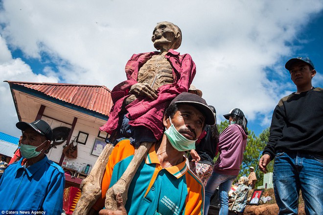 Tập tục quật mộ, mang thi thể người chết đi diễu hành ghê rợn ở Indonesia - Ảnh 3.