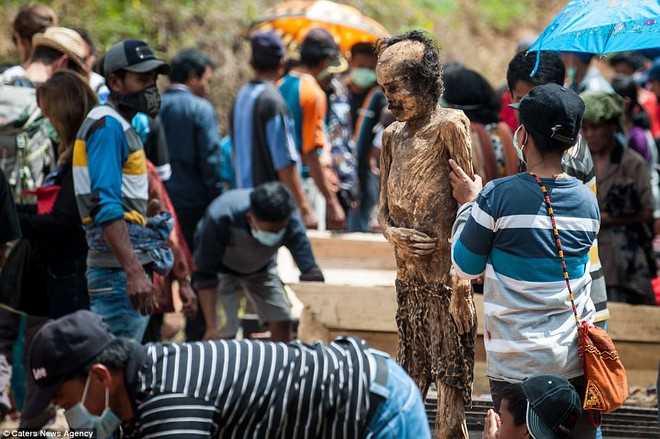 Tập tục quật mộ, mang thi thể người chết đi diễu hành ghê rợn ở Indonesia - Ảnh 4.