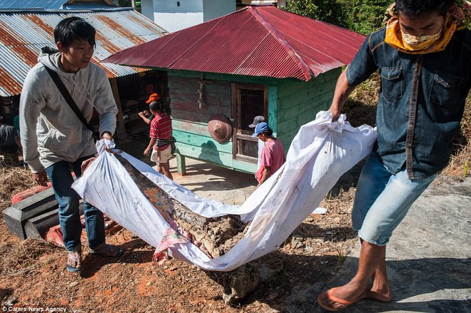 Tập tục quật mộ, mang thi thể người chết đi diễu hành ghê rợn ở Indonesia - Ảnh 9.
