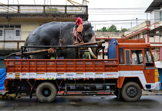 24h qua ảnh: Tổng thống Philippines kiểm tra súng bắn tỉa do Trung Quốc tặng - Ảnh 9.