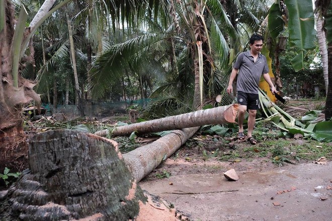 Người dân Bến Tre bỏ nhà lên Sài Gòn tránh siêu bão số 16  - Ảnh 5.