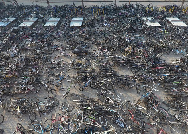 24h qua ảnh: Nghĩa địa xe đạp trong trường đại học ở Trung Quốc - Ảnh 9.
