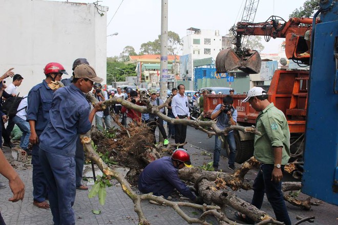 Quận 1 đập bỏ bồn cây, bức tường gần tòa nhà Bộ Công Thương - Ảnh 5.