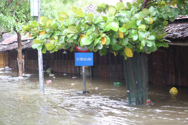 Du khách nước ngoài thích thú lội nước, chụp hình trong lũ ở Hội An - Ảnh 11.