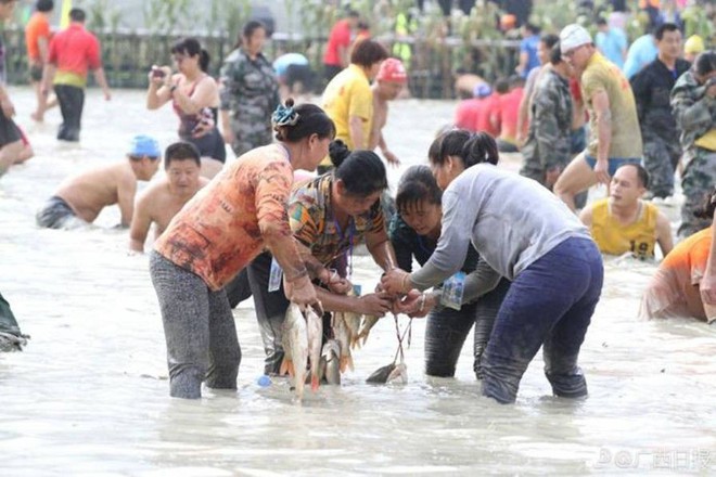 600 người quần thảo dưới đầm lầy, săn bắt, giành giật hơn 3000 con cá  - Ảnh 6.