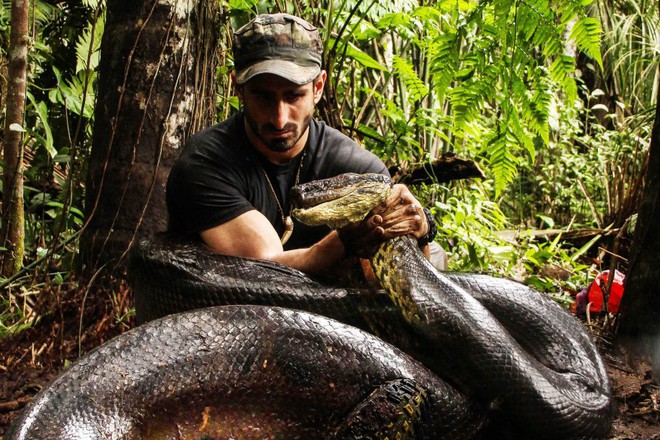 Trải nghiệm kinh hoàng của người đàn ông bị trăn anaconda siết chặt, cố nuốt sống - Ảnh 3.