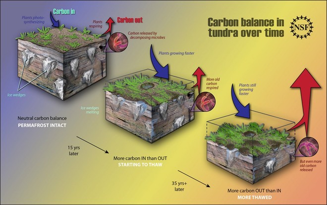 Hiểm họa bùng phát hàng triệu tấn CO2 do nóng lên toàn cầu đáng sợ hơn vũ khí hủy diệt - Ảnh 3.