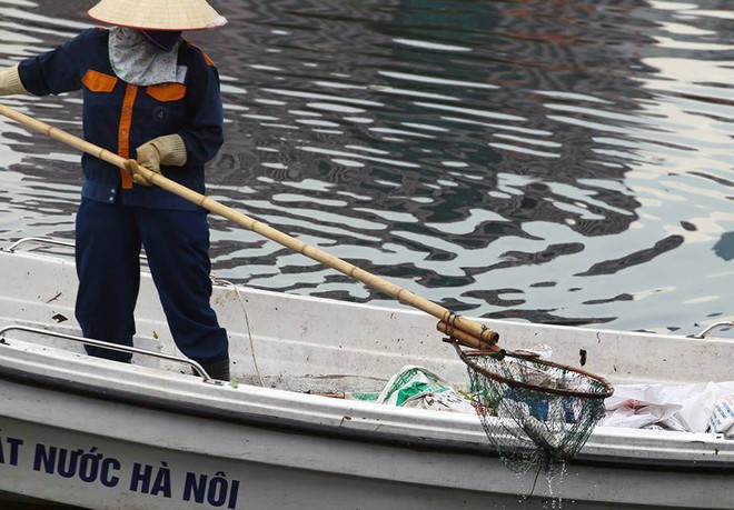 Cá lại chết nhiều bất thường ở hồ Hoàng Cầu - Ảnh 2.