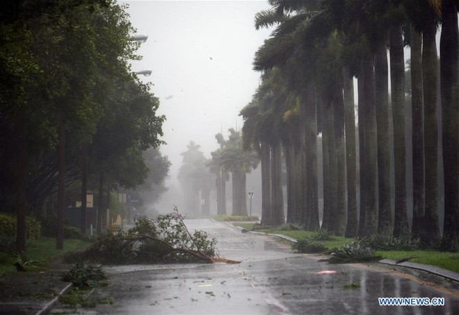 Siêu bão quái vật Irma tấn công dữ dội, Florida chới với trong biển nước - Ảnh 6.
