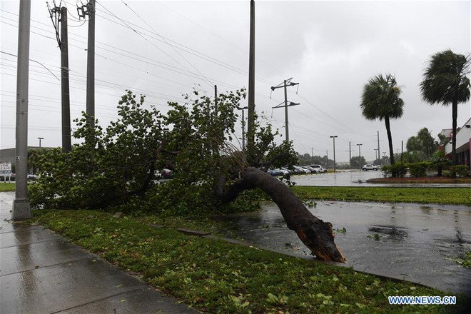 Siêu bão quái vật Irma tấn công dữ dội, Florida chới với trong biển nước - Ảnh 10.