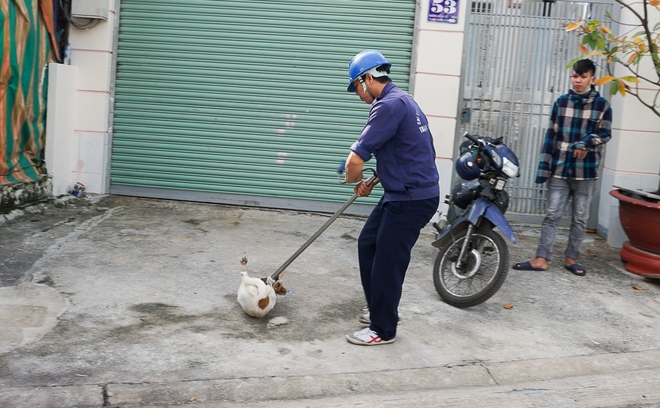 Dẫn chó cưng đi chợ không rọ mõm, người dân bất ngờ khi bị Đội săn bắt chó TP HCM hốt về - Ảnh 2.