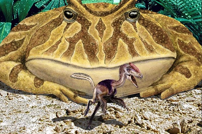 Lực cắn vô địch của ếch quỷ cổ đại: Có thể nghiền nát cả khủng long - Ảnh 4.