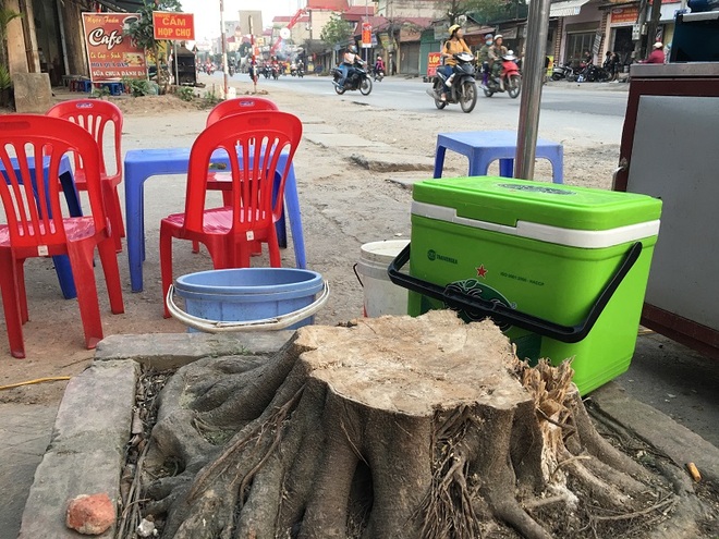 Hà Nội: Thêm một xã đốn hạ cây xanh để dọn dẹp vỉa hè - Ảnh 9.