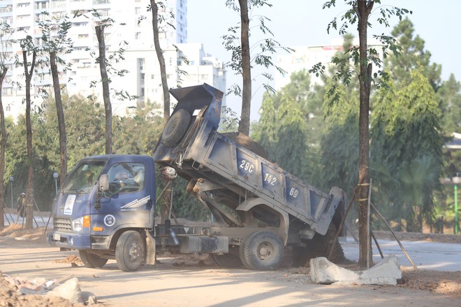 Trồng hàng loạt cây mới cách cây cũ 10m ở đường Phạm Văn Đồng - Ảnh 9.