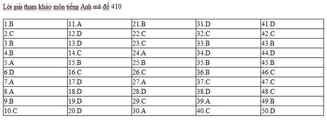 Đề thi, lời giải tham khảo môn Tiếng Anh THPT quốc gia 2017 - Ảnh 10.