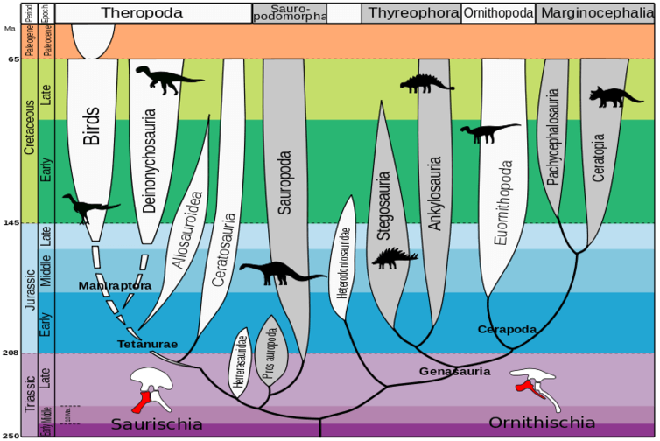 Sau 130 năm, phả hệ khủng long có nguy cơ viết lại vì phát hiện này! - Ảnh 2.
