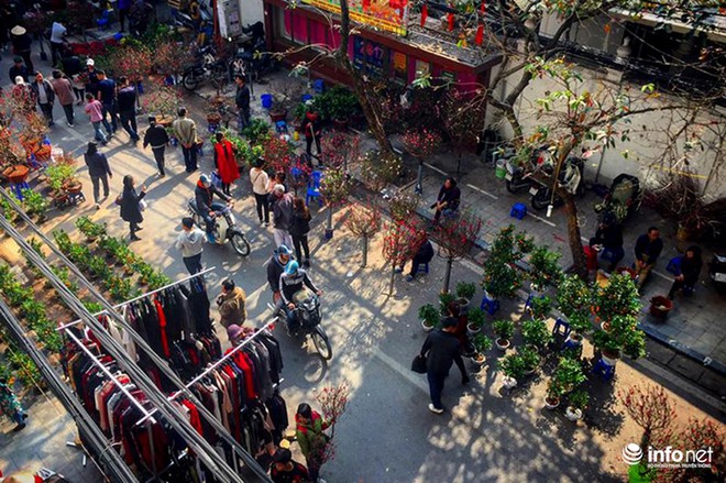 Ngắm chợ hoa lâu đời nhất của Hà Nội những ngày cuối năm - Ảnh 1.