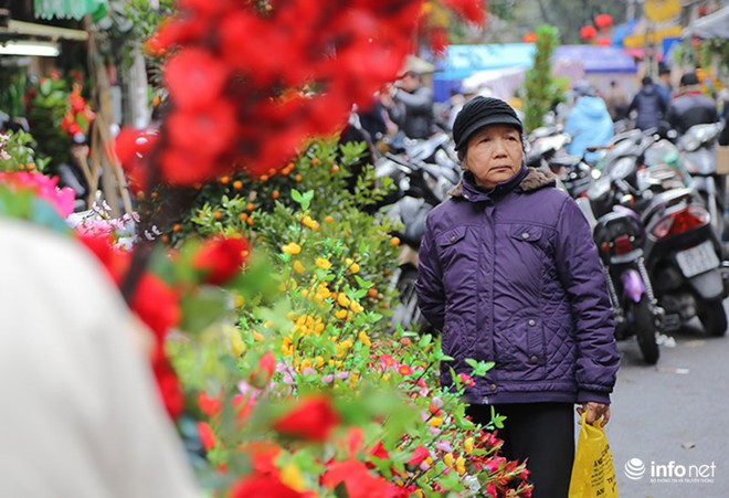 Ngắm chợ hoa lâu đời nhất của Hà Nội những ngày cuối năm - Ảnh 2.
