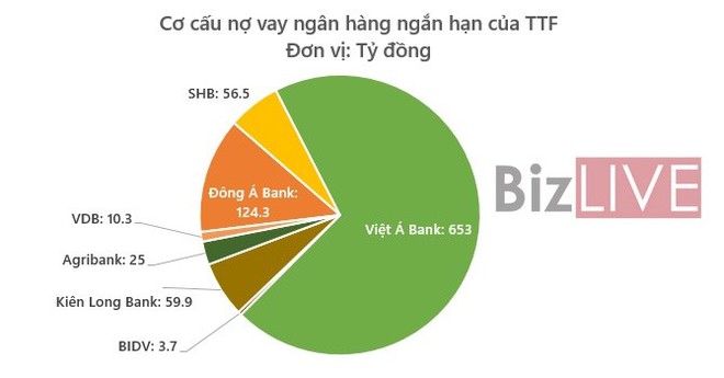 Gỗ Trường Thành âm vốn nặng, ngân hàng nào phải lo? - Ảnh 1.