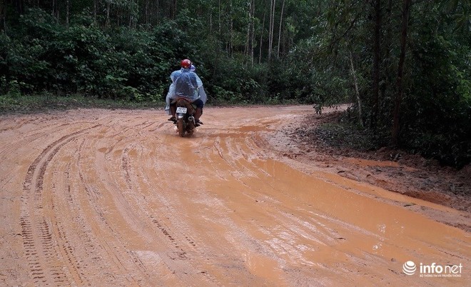 Những con đường “tắm bùn” ở Bố Trạch - Quảng Bình - Ảnh 1.
