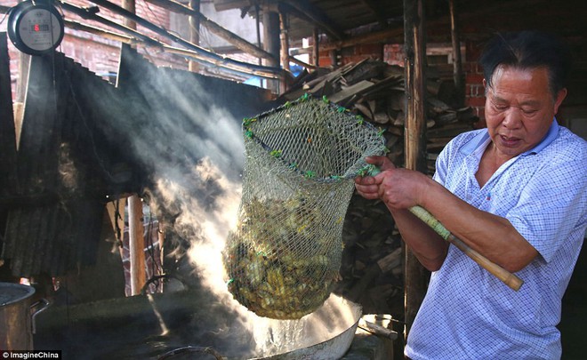 Trung Quốc: Hàng nghìn chú vịt non bị luộc sống mỗi ngày vì không thể đẻ trứng - Ảnh 6.