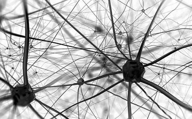 Kết quả hình ảnh cho khoa học thần kinh