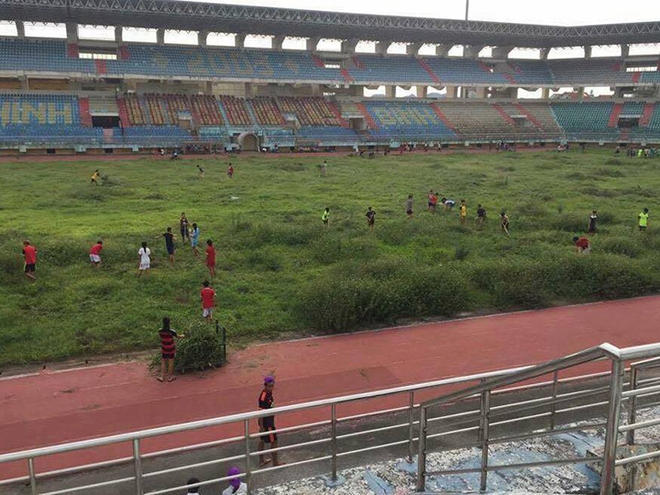 Cười ra nước mắt trước cảnh cắt cỏ ở sân bóng trăm tỷ Ninh Bình - Ảnh 2.