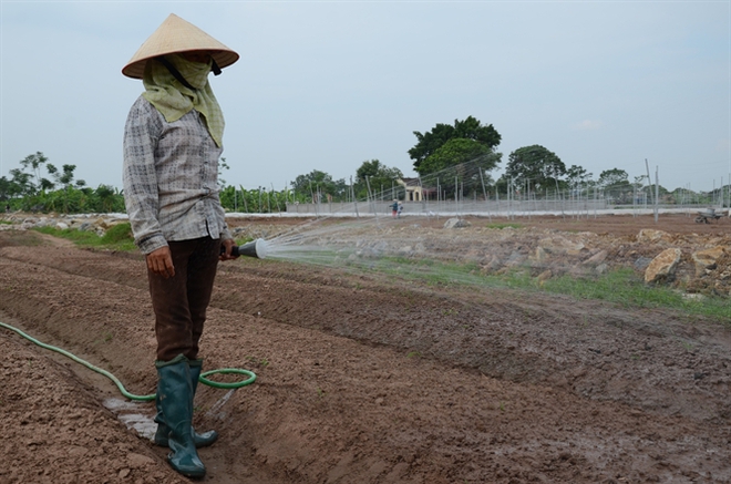 TIN TỐT LÀNH ngày 31/3: Ông Năm Hấp và những tấc vàng ở TP.HCM - Ảnh 1.