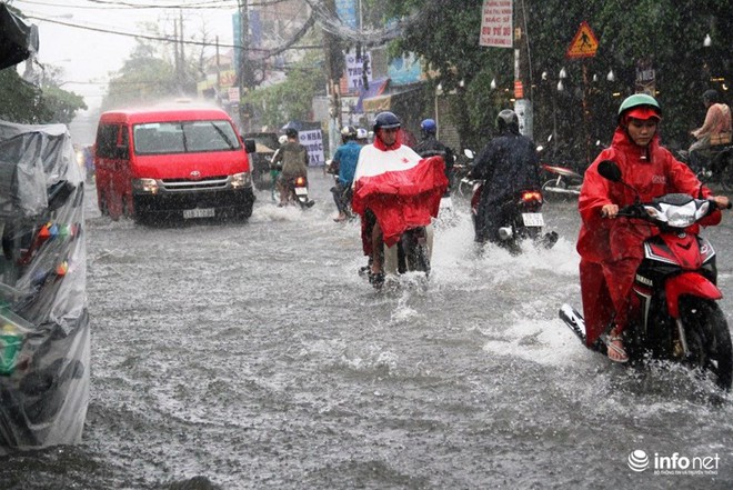 TP.HCM: Sóng vỗ “ầm ầm”, xe chết máy la liệt trên đường phố - Ảnh 2.