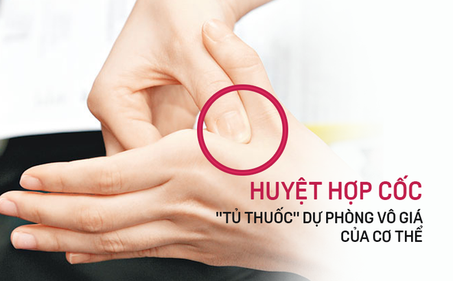 Kết quả hình ảnh cho huyệt hợp cốc