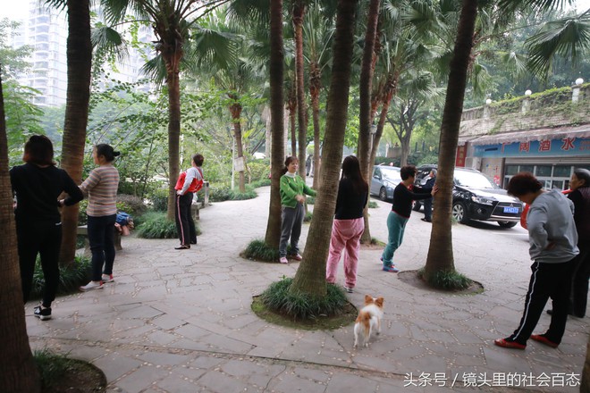 Chữa bệnh bằng cây xanh: Một trào lưu dưỡng sinh mới đang nở rộ ở Trung Quốc - Ảnh 6.