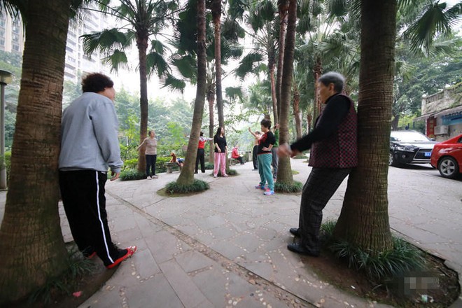 Chữa bệnh bằng cây xanh: Một trào lưu dưỡng sinh mới đang nở rộ ở Trung Quốc - Ảnh 8.