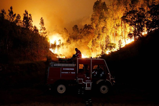 Bồ Đào Nha: Bi kịch chết cháy trong ô tô khi lửa dữ quét qua đường - Ảnh 12.