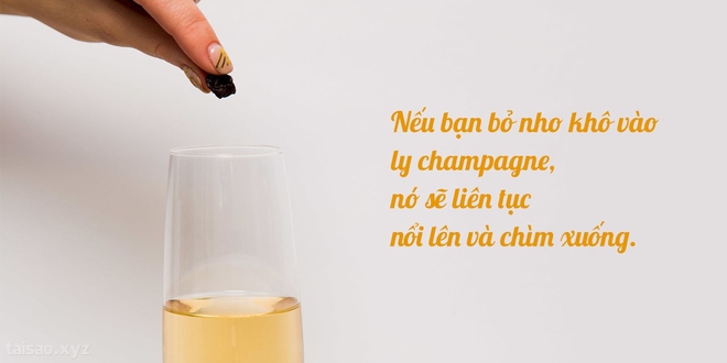 Điều bất ngờ thú vị gì xảy ra khi bỏ nho khô vào rượu champagne? - Ảnh 3.