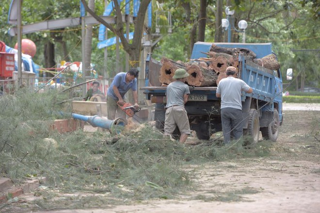 Bất chấp sóng to, gió lớn, nhiều người vẫn ra tắm ở biển Cửa Lò - Ảnh 7.