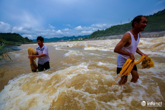 Người dân lao ra dòng nước dữ, chảy cuồn cuộn để bắt cá sông Đà - Ảnh 7.