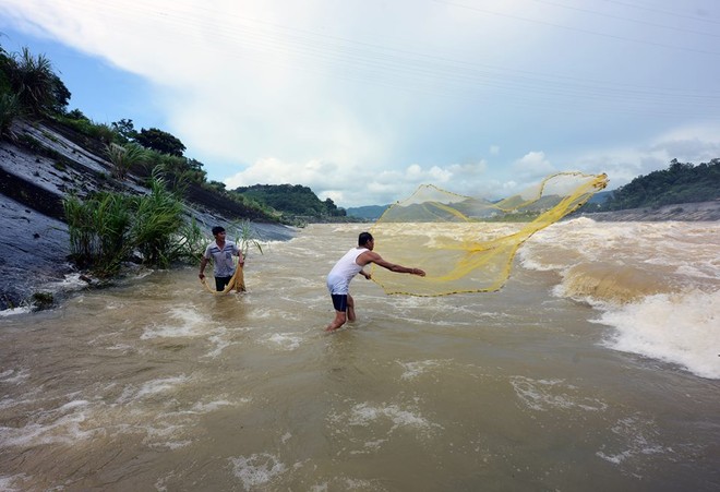 Người dân lao ra dòng nước dữ, chảy cuồn cuộn để bắt cá sông Đà - Ảnh 4.