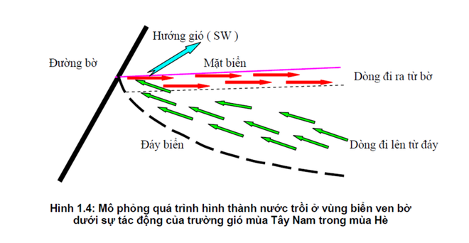 8 nhà khoa học Viện Hàn lâm đến Vĩnh Tân khảo sát - Ảnh 1.