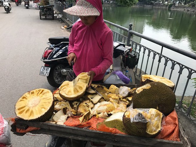 Lạ lùng: Chị em Hà thành gom mua xơ mít khắp chợ - Ảnh 2.