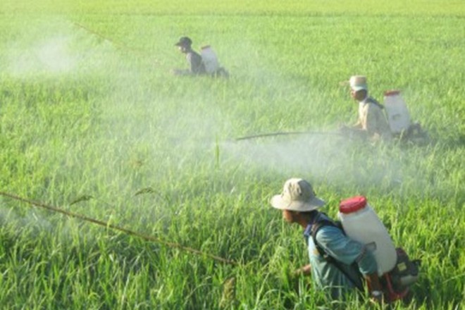 Cứ hoà vào nước là bán thôi: Người Việt thích ăn chỗ bụi, bẩn, giờ lại còn phải uống độc - Ảnh 3.