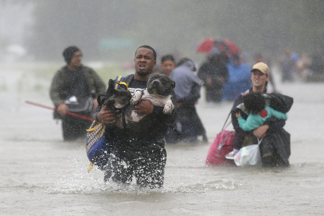 Sau Harvey, Irma là siêu bão quái vật sắp tấn công nước Mỹ, tạo sóng cao 3m - Ảnh 6.