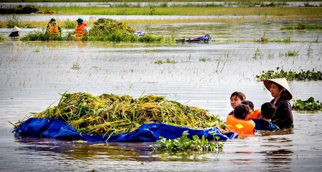 Lại nóng chuyện dự báo mưa lũ như con kiến, thiệt hại bằng con voi - Ảnh 1.