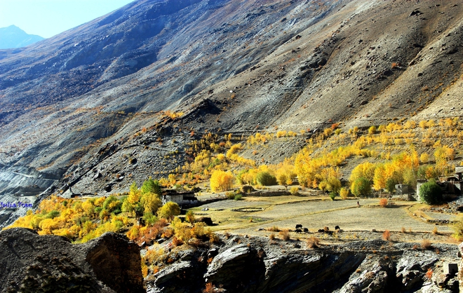 Mùa thu ở Ladakh: Hành trình trải nghiệm của 1 phụ nữ Việt đến nơi đẹp tựa “thiên đường ẩn giấu” ở Ấn Độ - Ảnh 2.