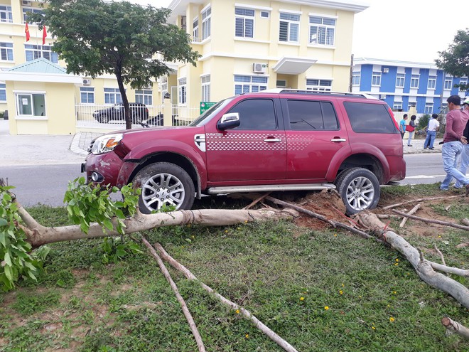 Đà Nẵng: Tông phải bò đang ngủ trên đường, ô tô leo dải phân cách húc đổ 2 cây xanh - Ảnh 2.